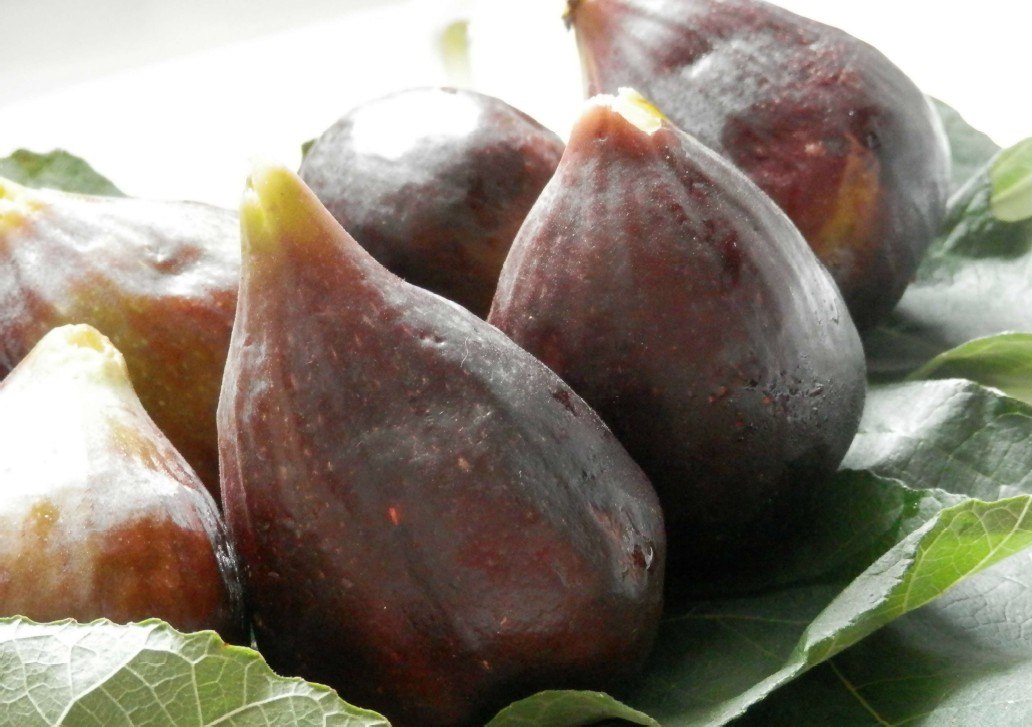 Fiorone Nero Triggiano