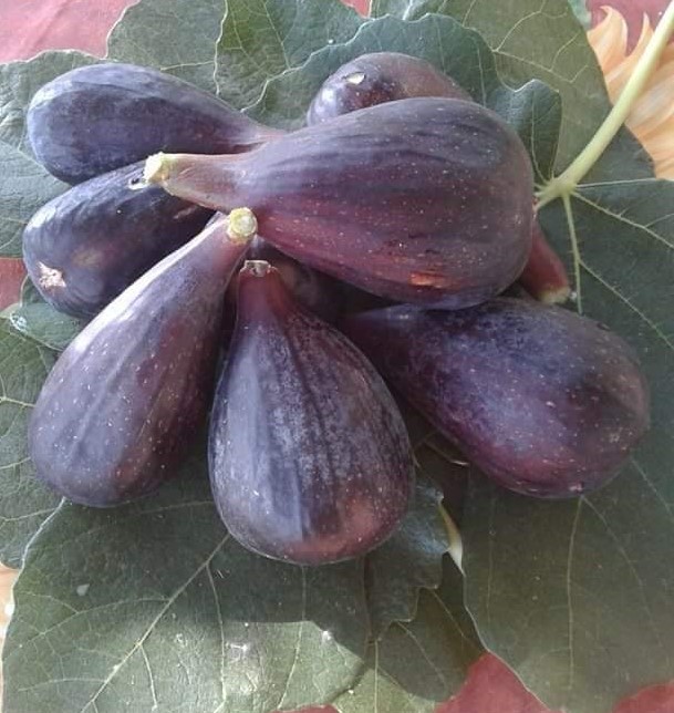 Milungiana